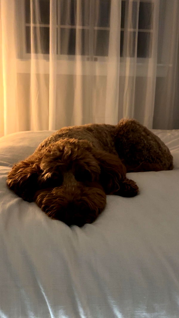 keab01 image ~ Altpins