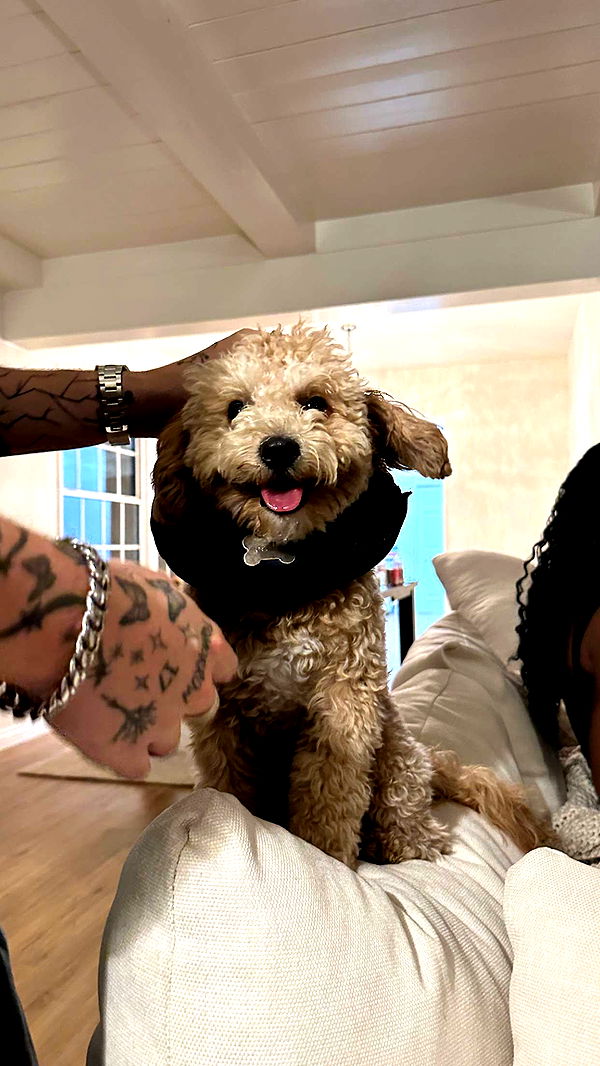 keab01 image ~ Altpins