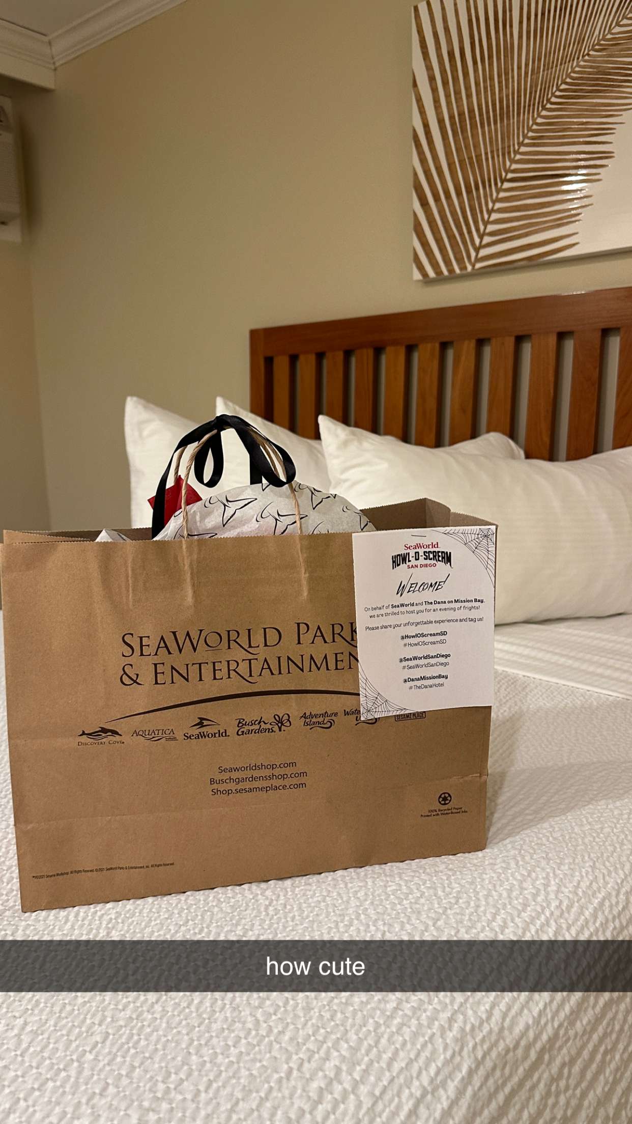 keab01 snapchat image archive image