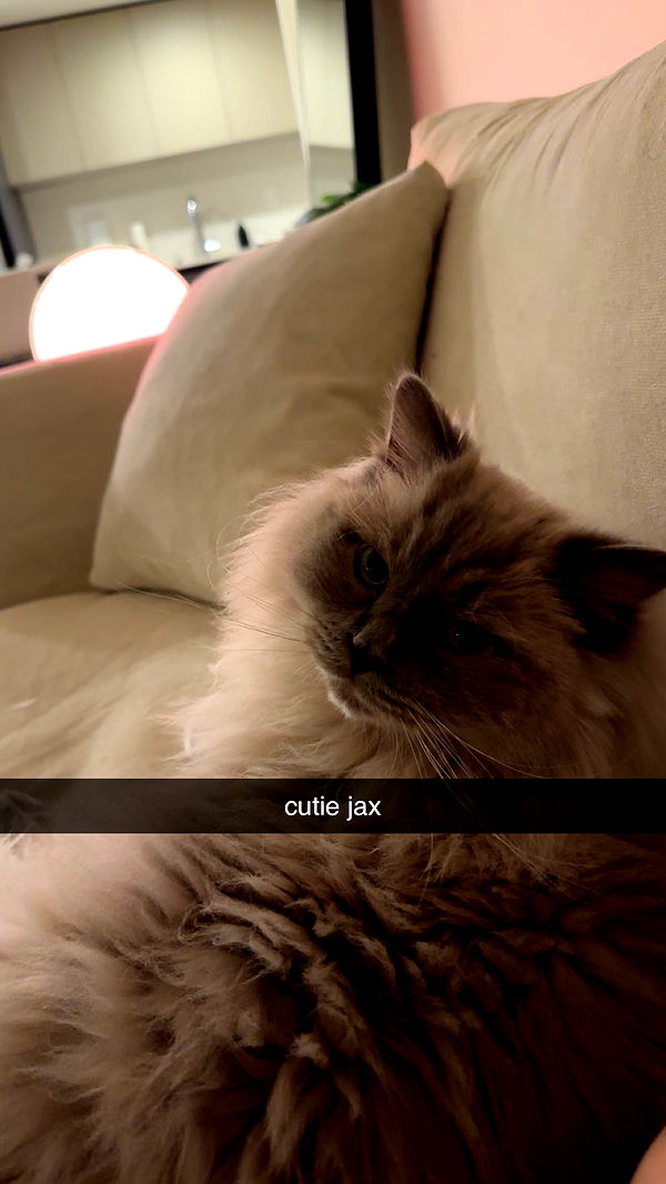 keab01 image ~ Altpins