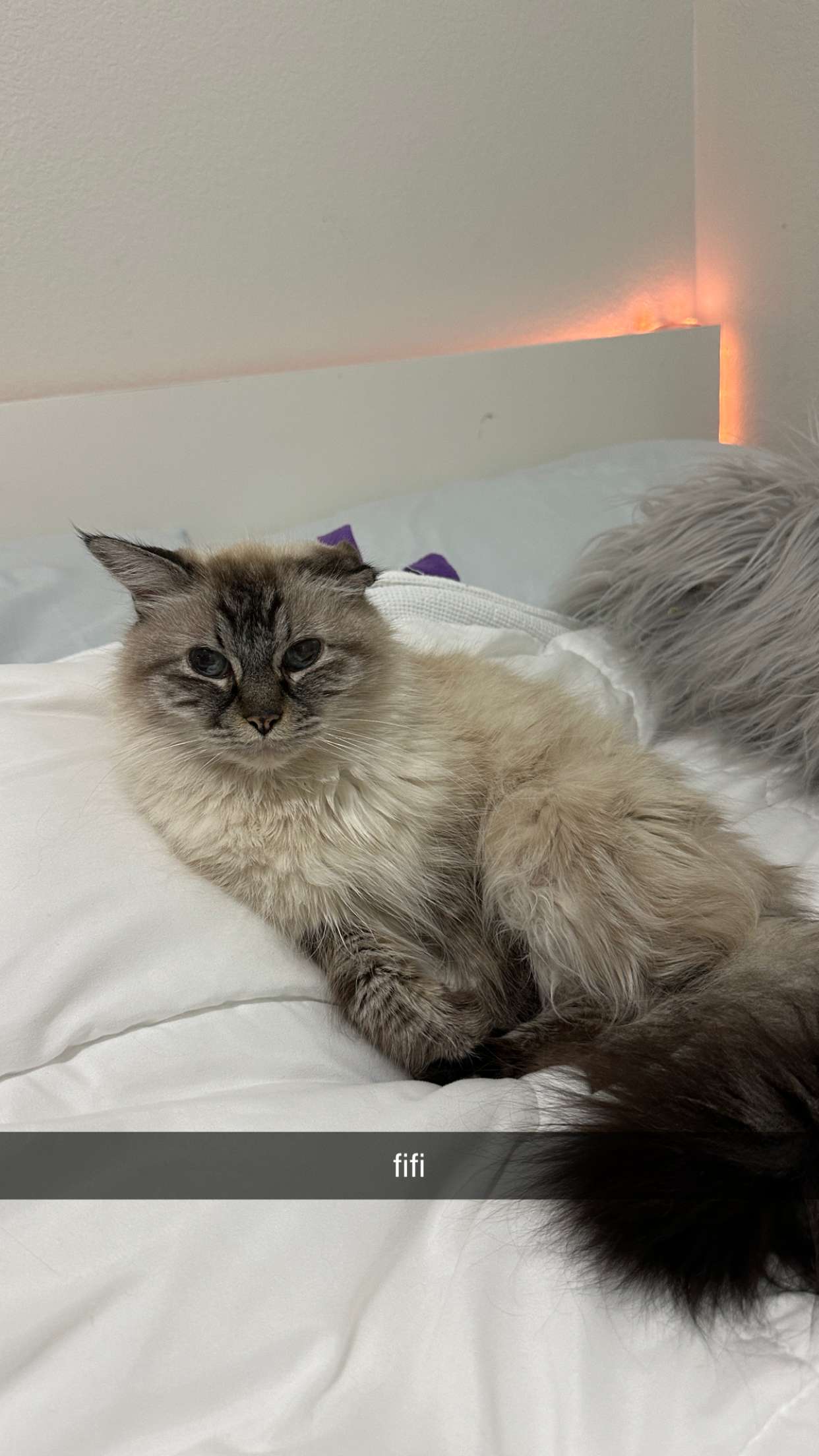 keab01 snapchat image archive image