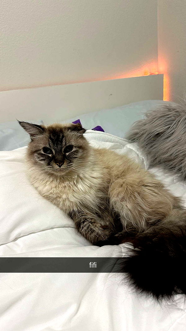 keab01 image ~ Altpins