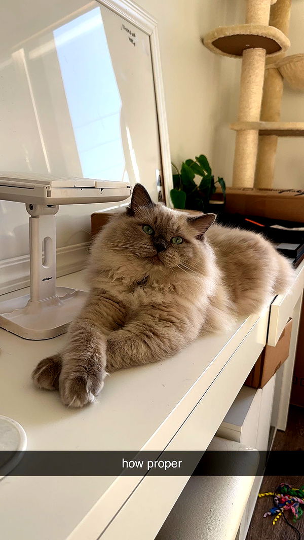 keab01 image ~ Altpins