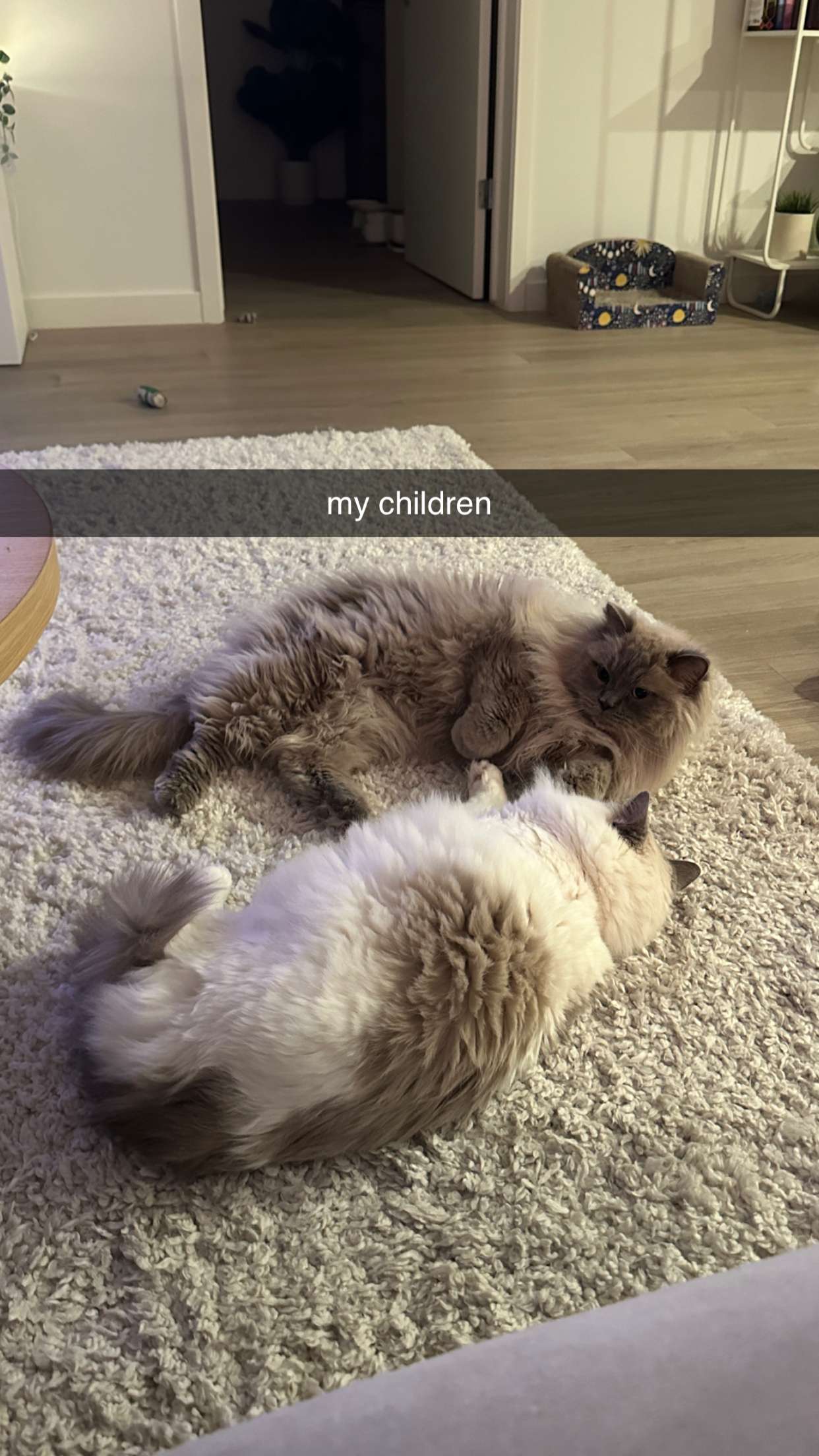 keab01 snapchat image archive image