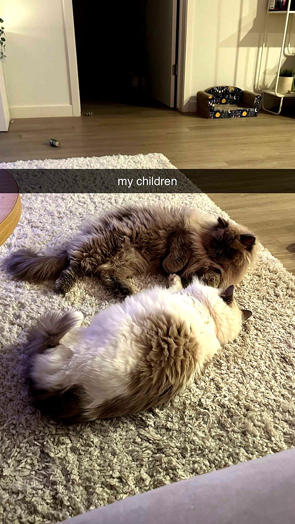 keab01 image ~ Altpins