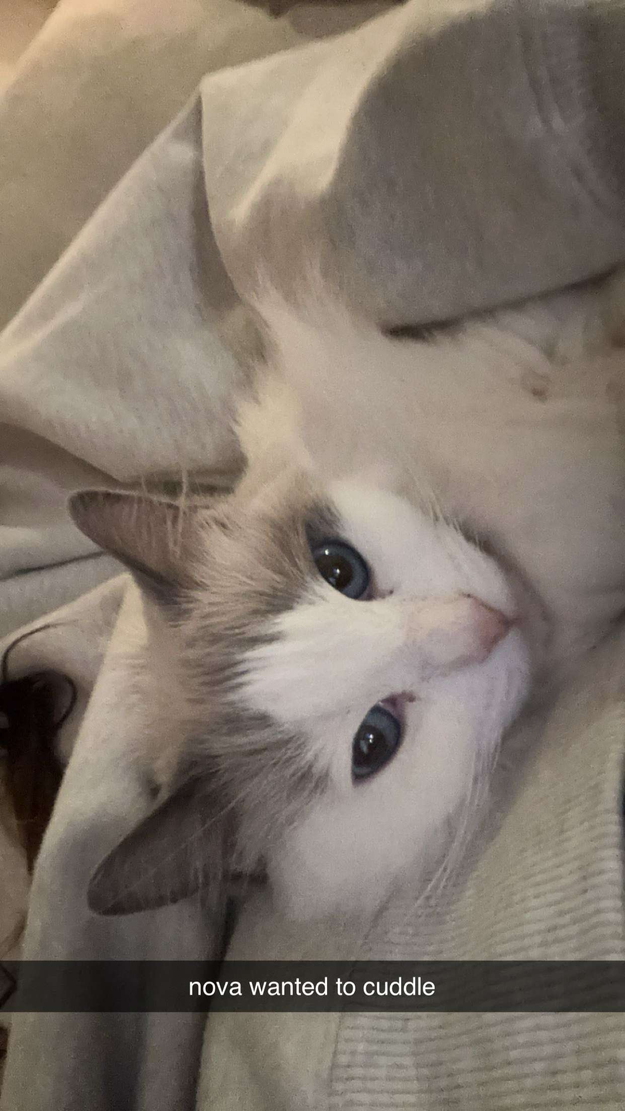 keab01 snapchat image archive image