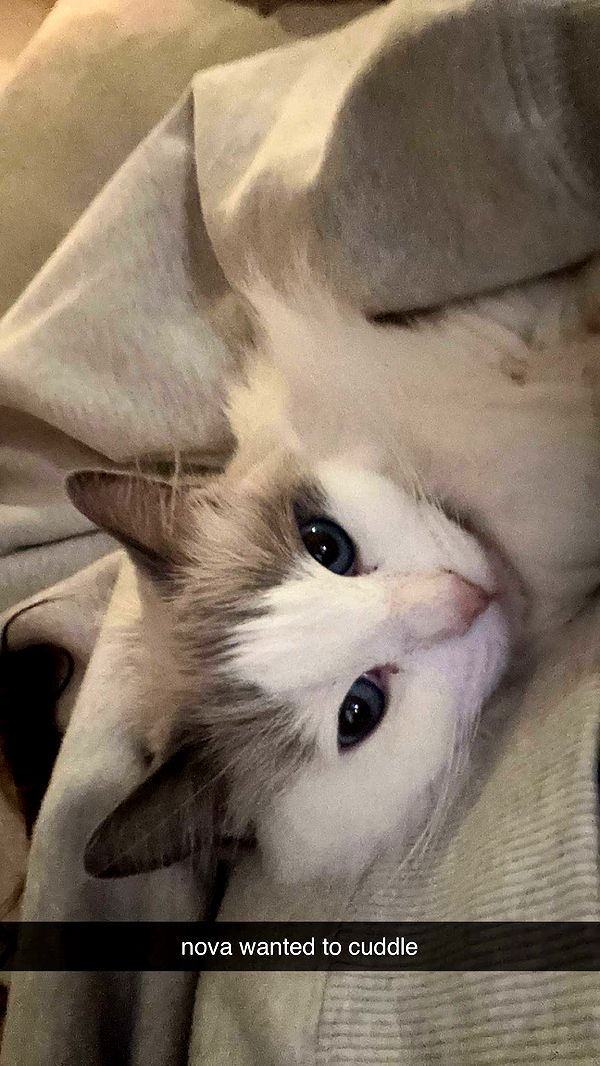 keab01 image ~ Altpins