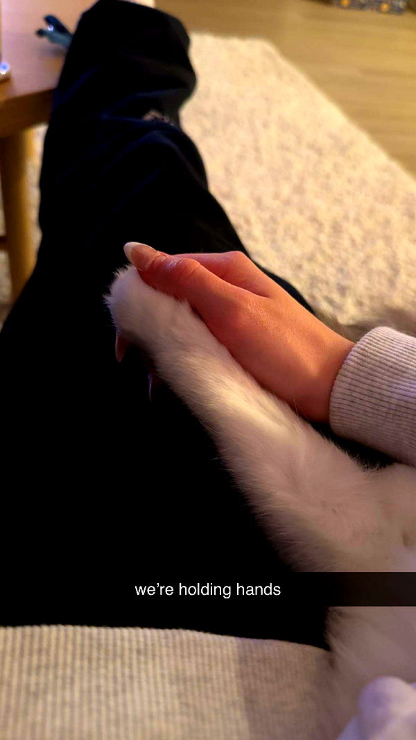 keab01 image ~ Altpins