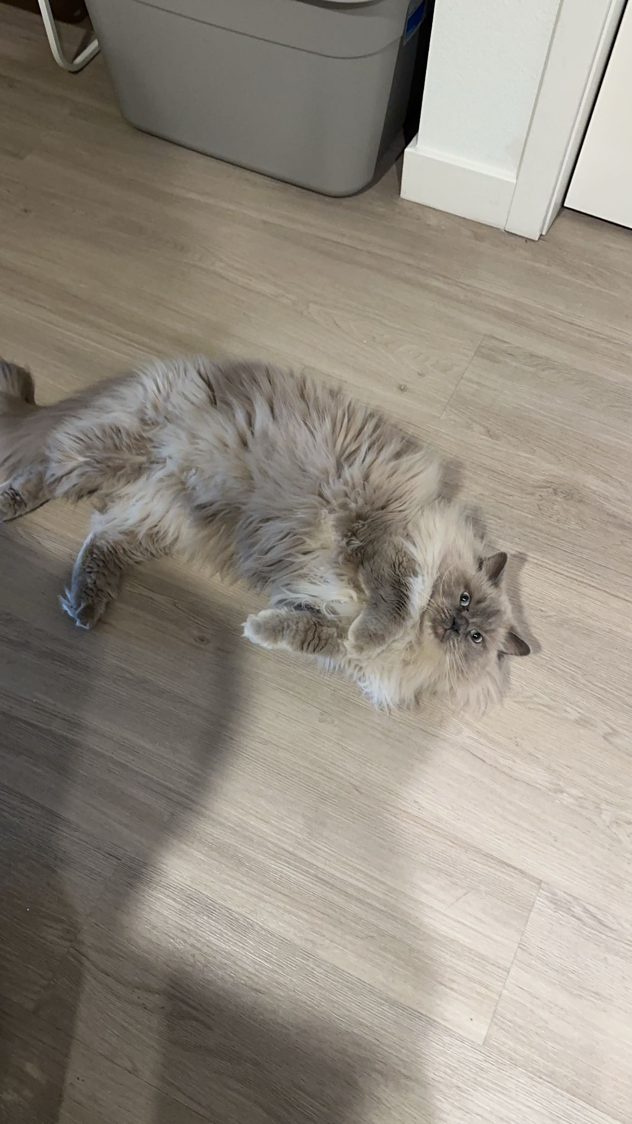 keab01 snapchat image archive image