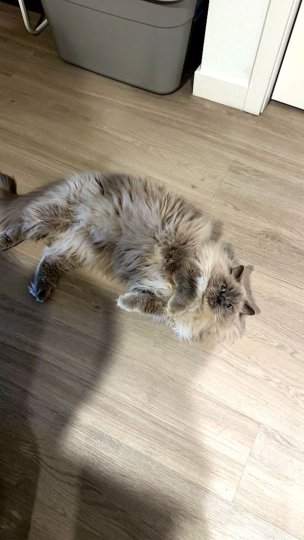 keab01 image ~ Altpins