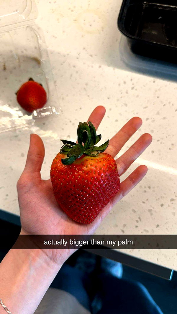 keab01 image ~ Altpins