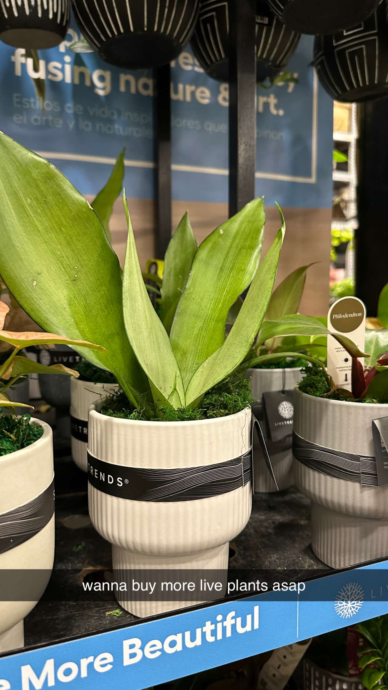 keab01 snapchat image archive image