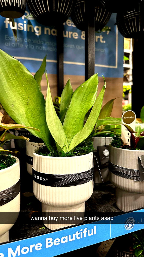 keab01 image ~ Altpins