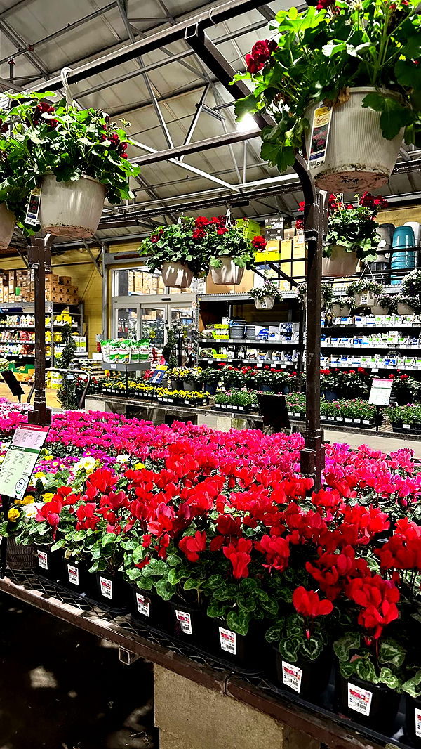 keab01 image ~ Altpins