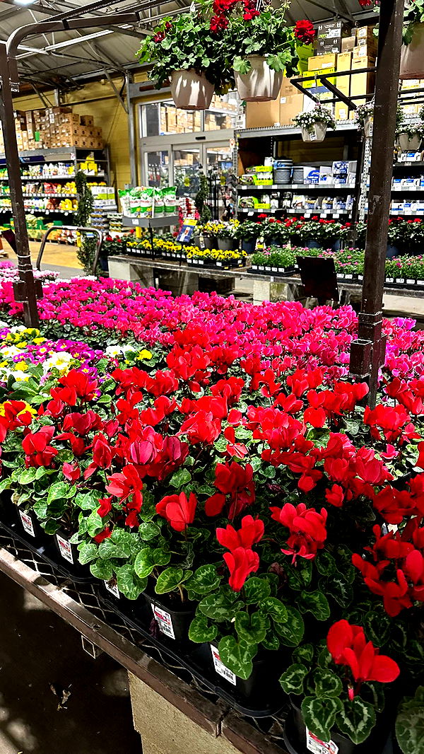 keab01 image ~ Altpins