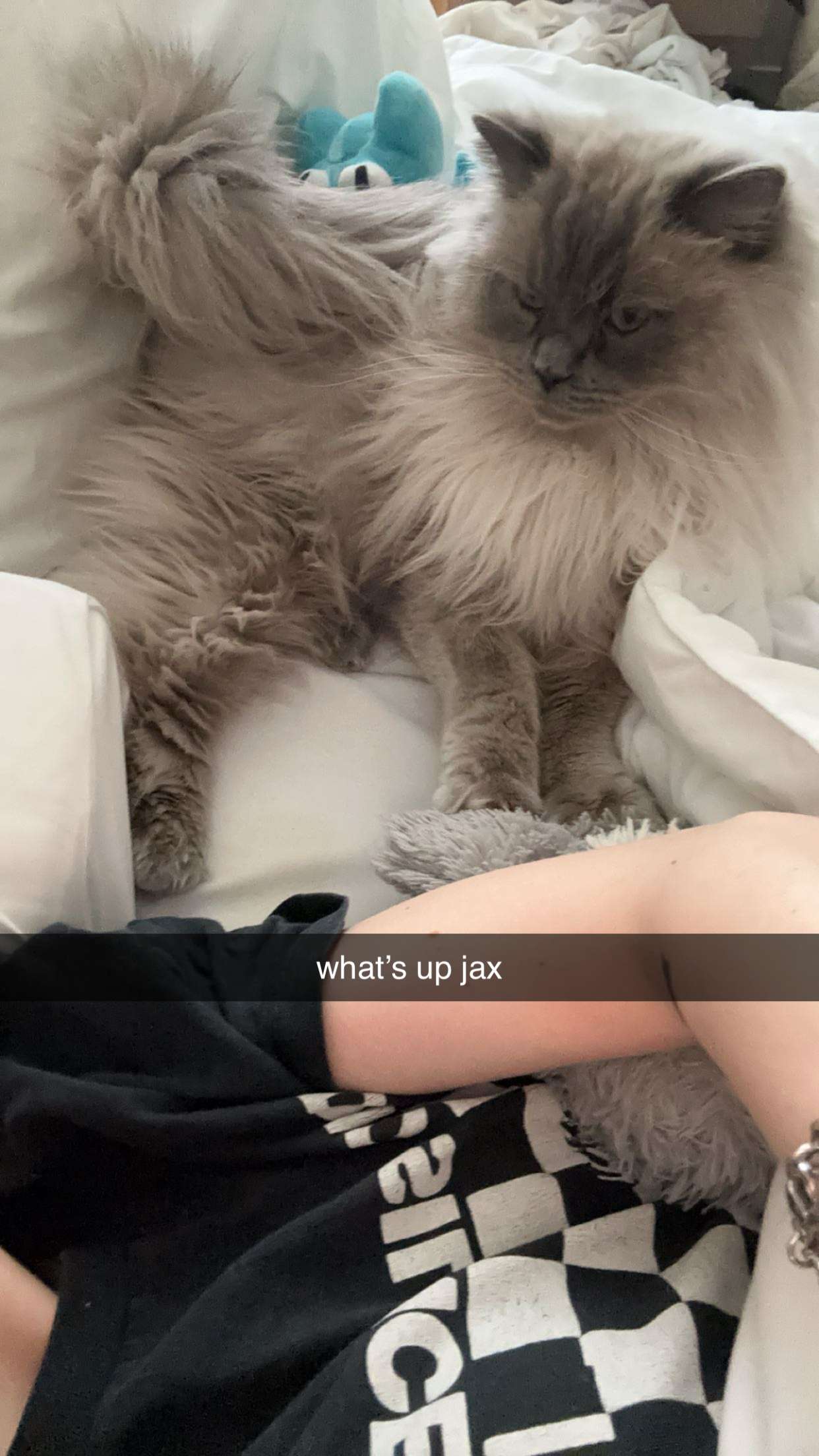 keab01 snapchat image archive image