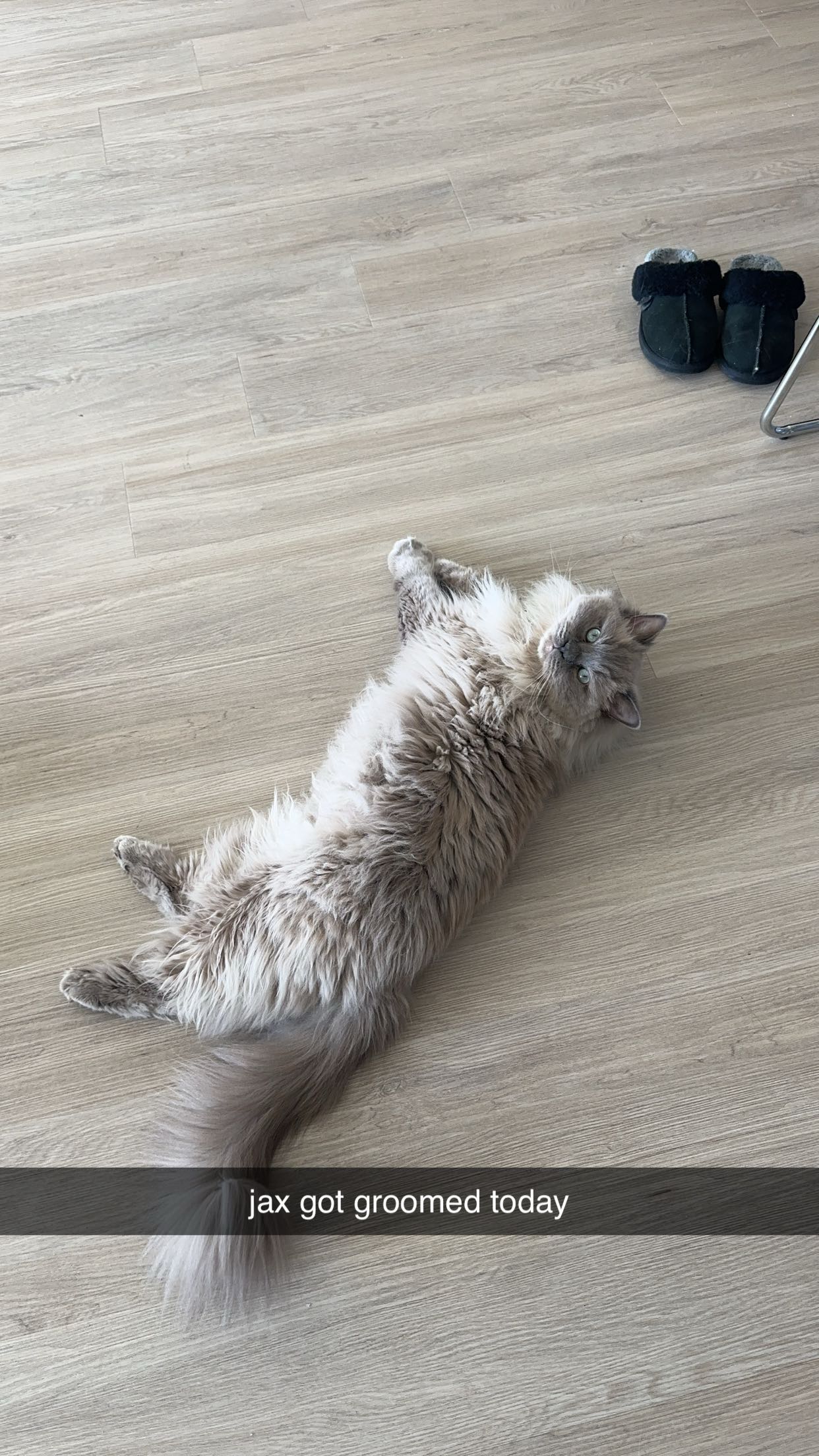 keab01 snapchat image archive image