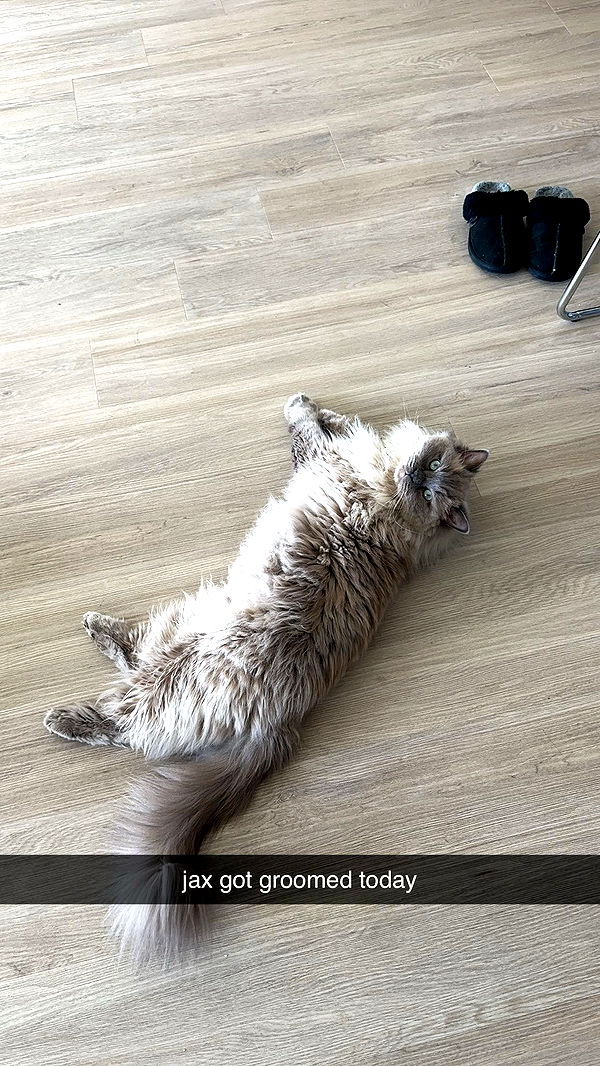 keab01 image ~ Altpins