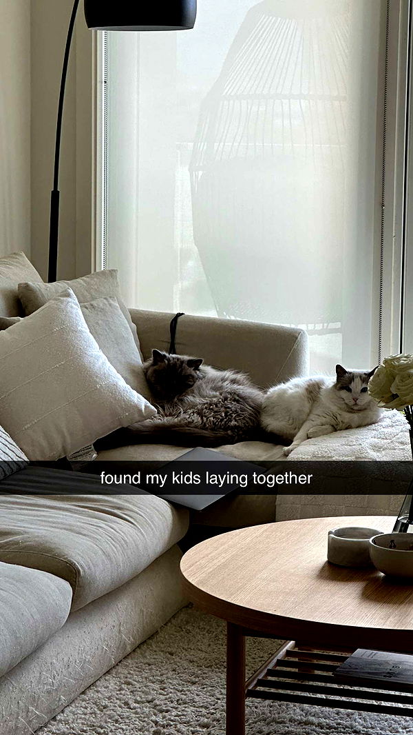 keab01 image ~ Altpins