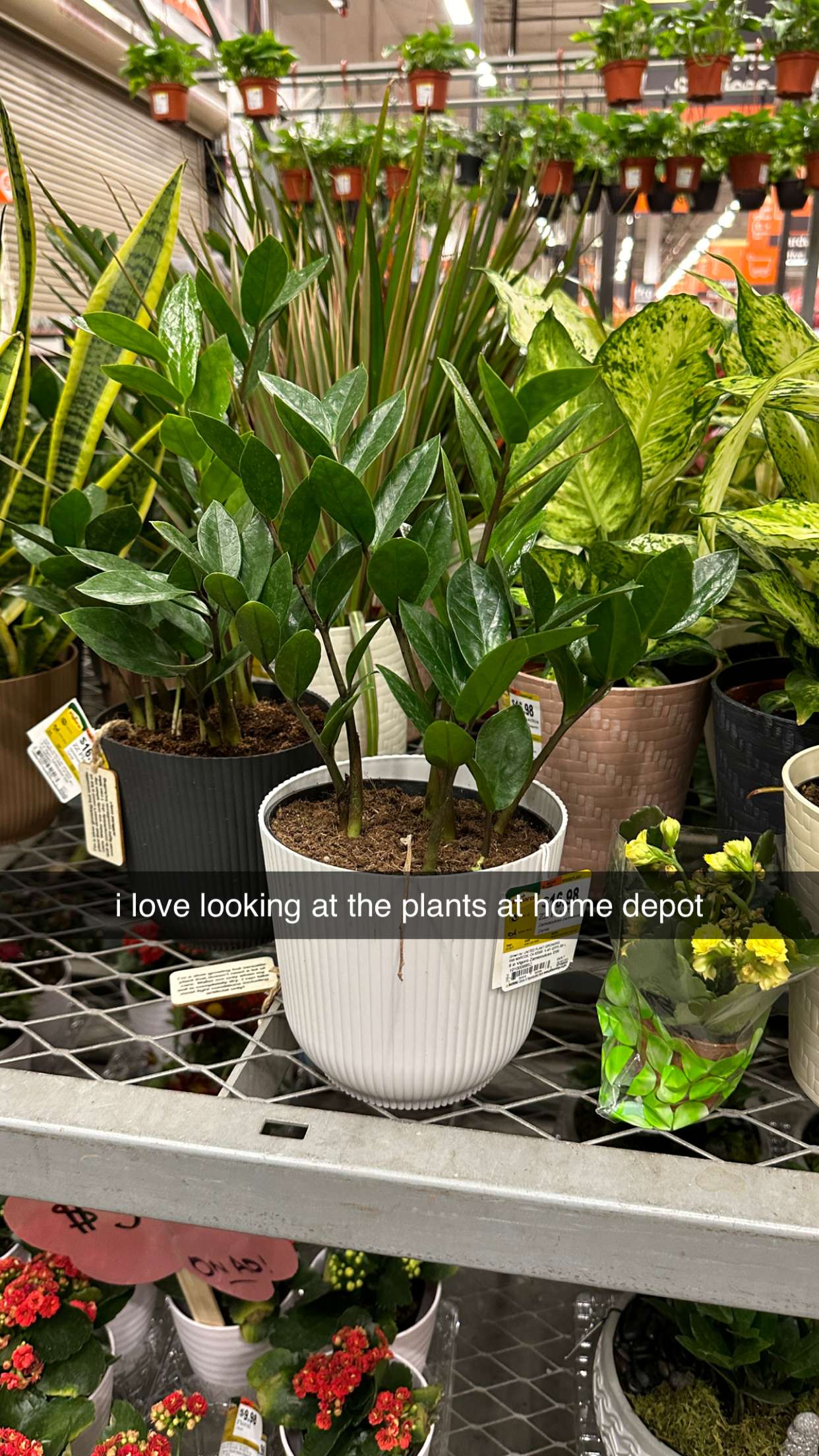 keab01 snapchat image archive image