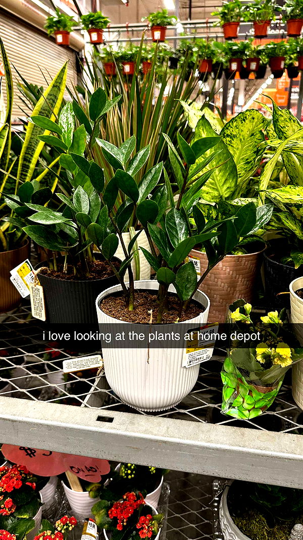 keab01 image ~ Altpins