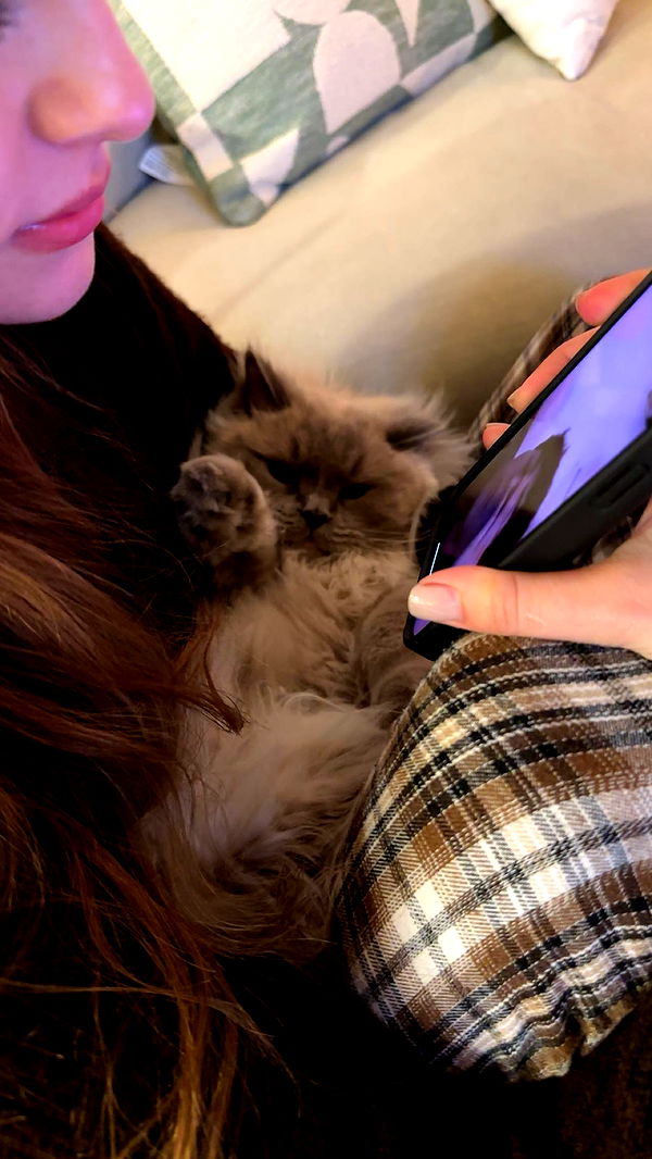 keab01 image ~ Altpins