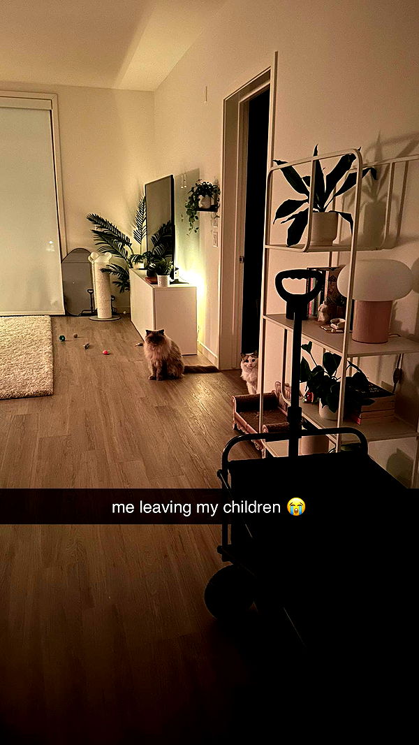 keab01 image ~ Altpins