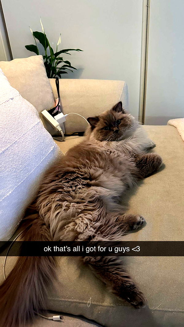 keab01 image ~ Altpins