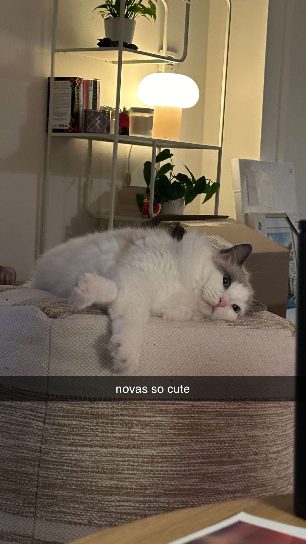 keab01 snapchat image archive image