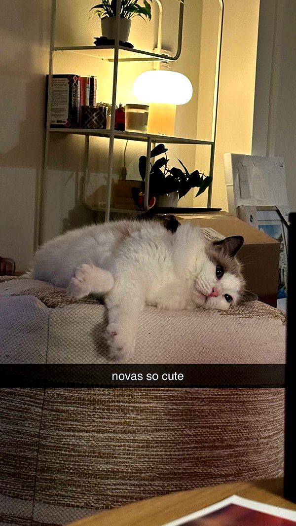 keab01 image ~ Altpins