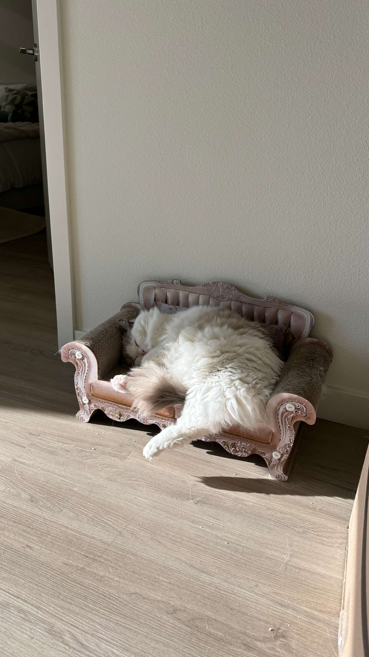 keab01 snapchat image archive image