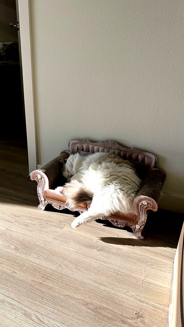 keab01 image ~ Altpins