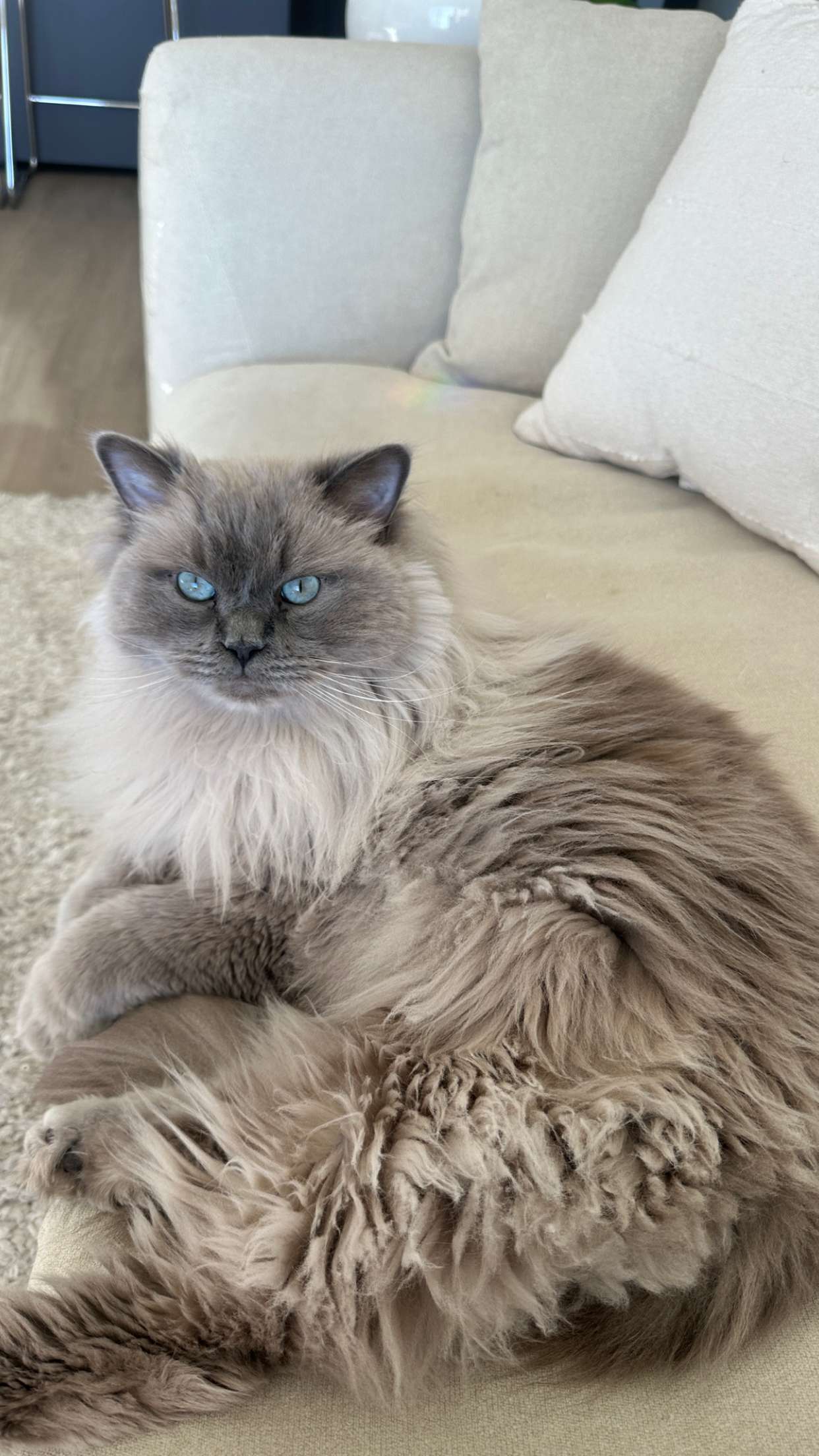 keab01 snapchat image archive image