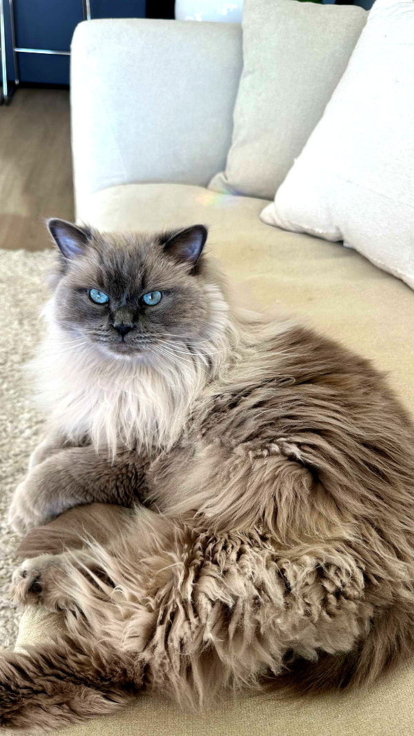 keab01 image ~ Altpins