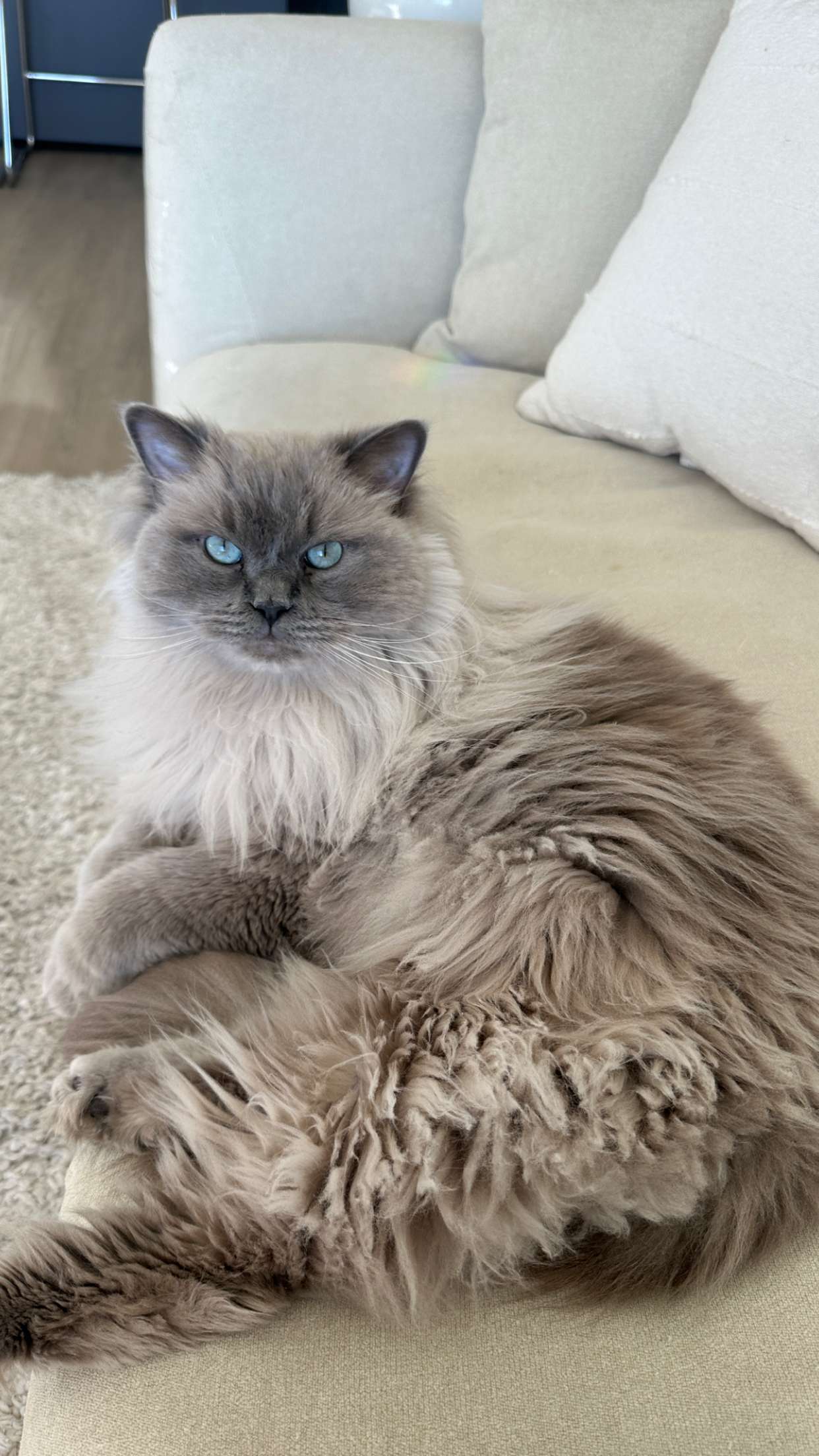 keab01 snapchat image archive image