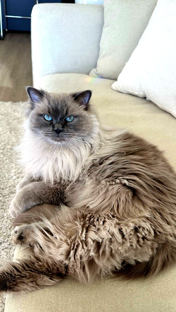 keab01 image ~ Altpins