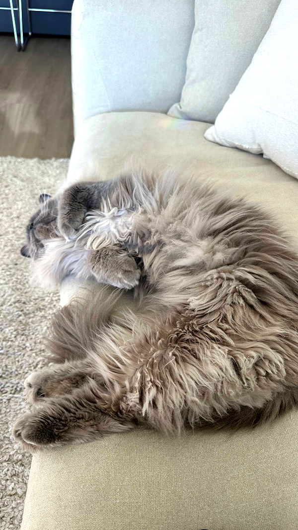 keab01 image ~ Altpins