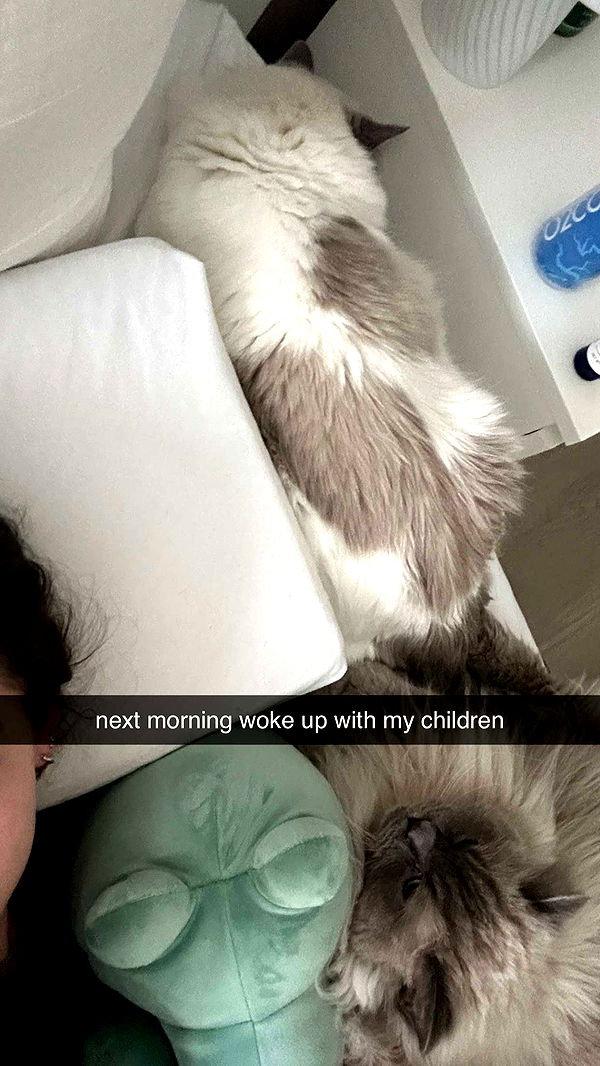 keab01 image ~ Altpins