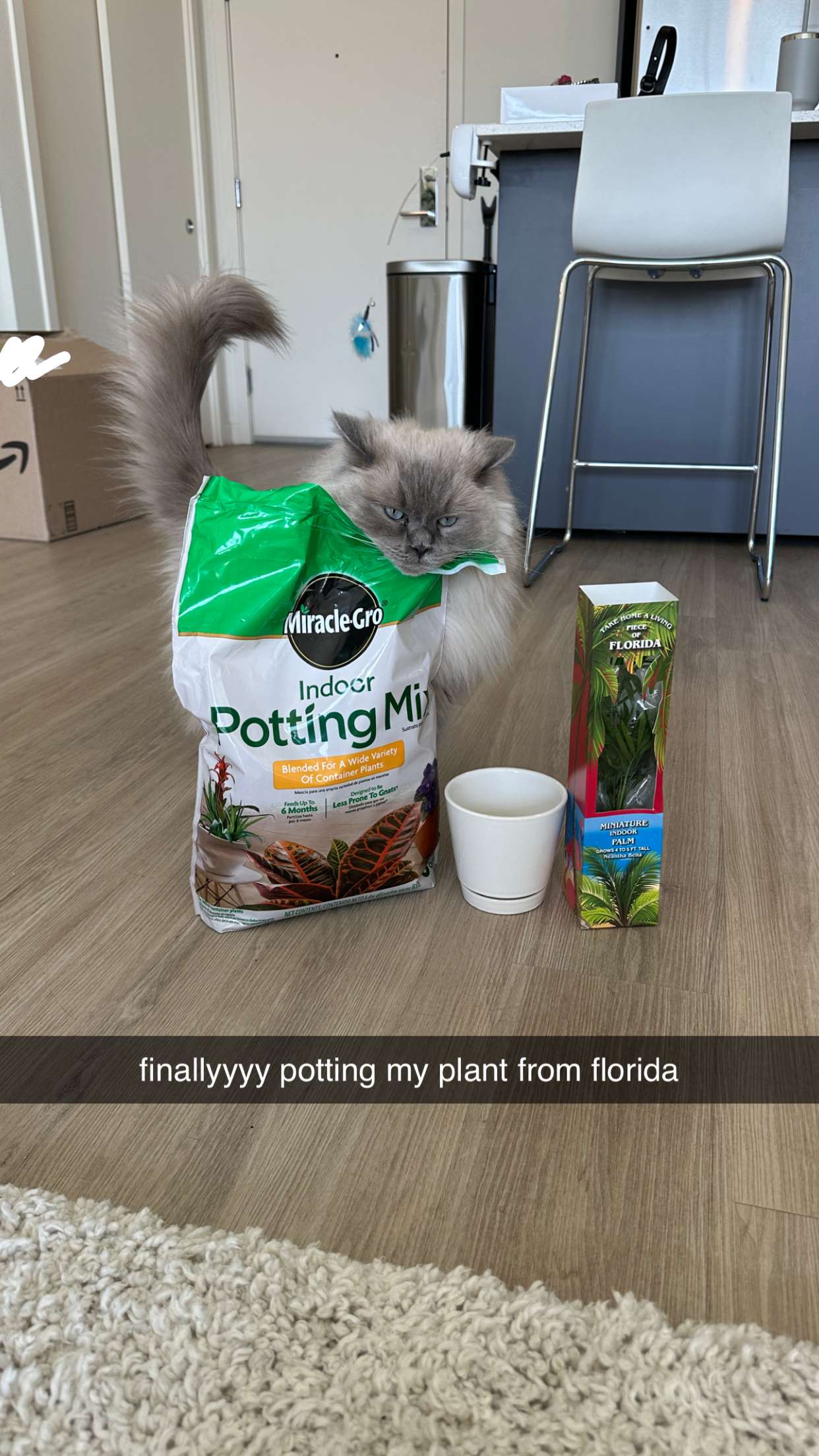 keab01 snapchat image archive image