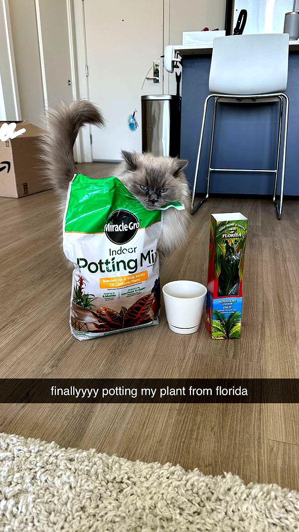 keab01 image ~ Altpins