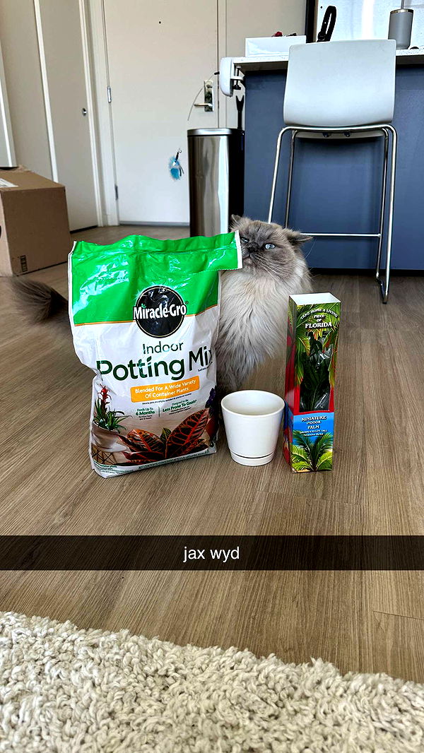 keab01 image ~ Altpins