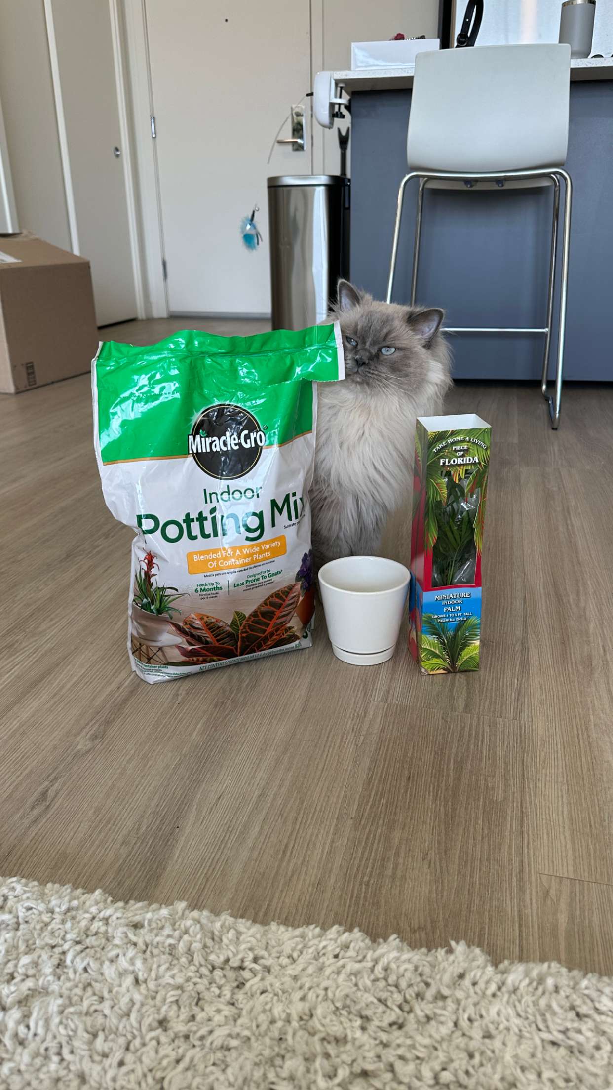 keab01 snapchat image archive image