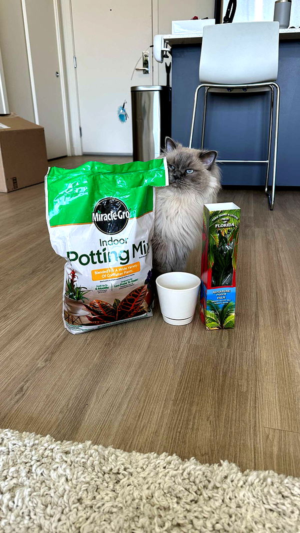 keab01 image ~ Altpins