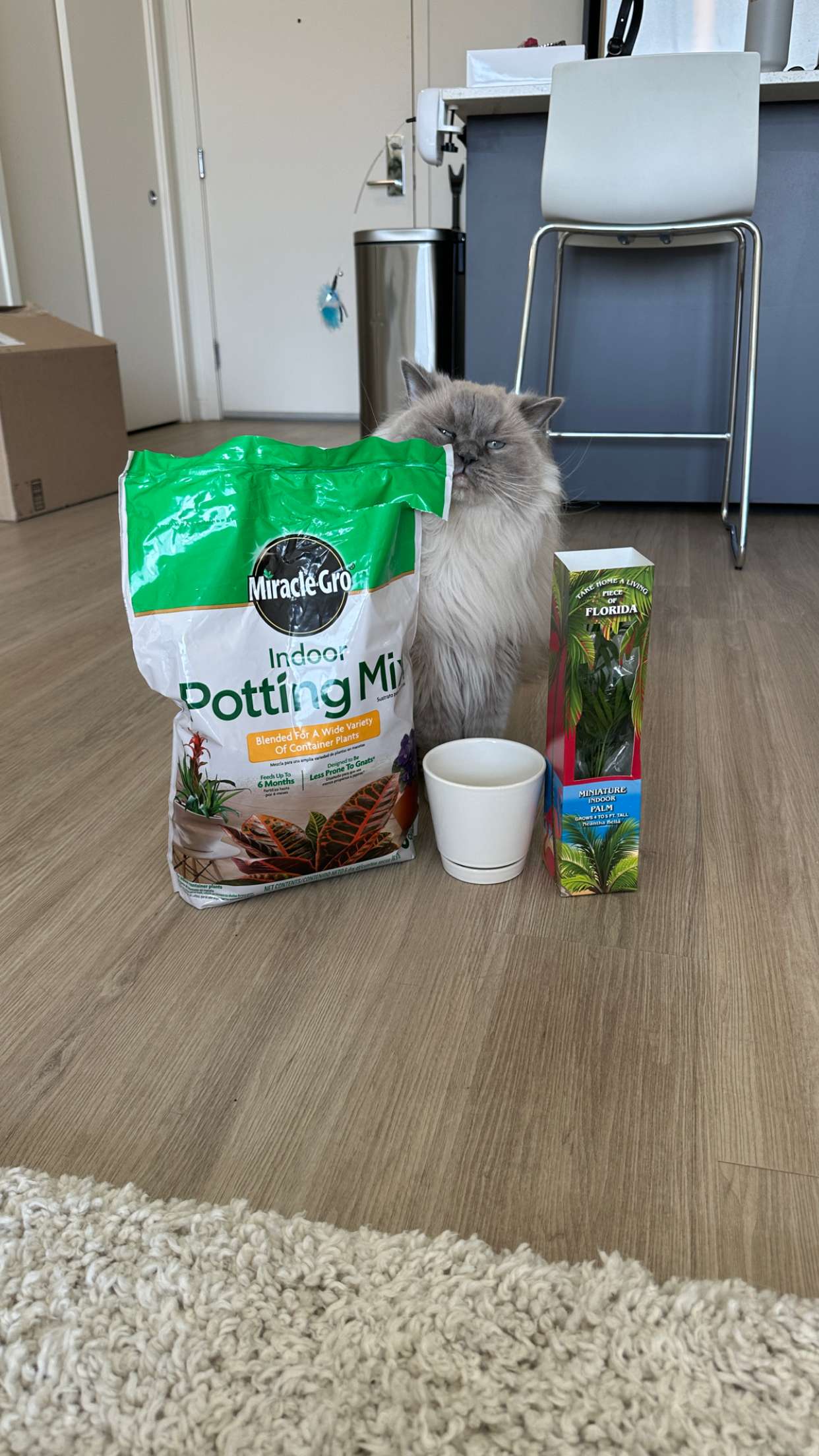 keab01 snapchat image archive image