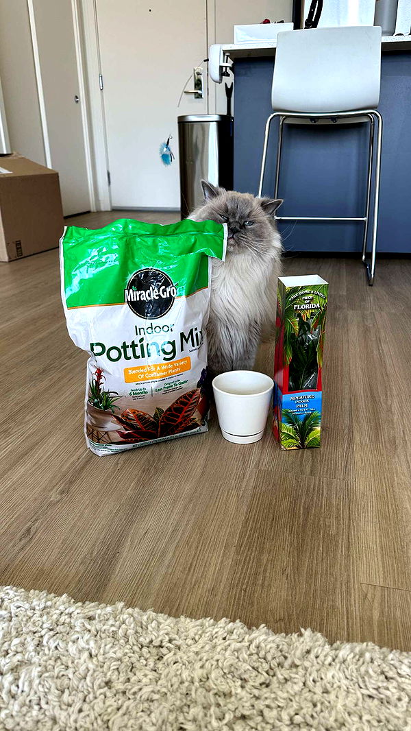 keab01 image ~ Altpins