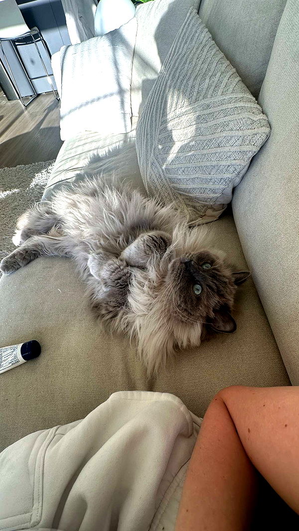 keab01 image ~ Altpins