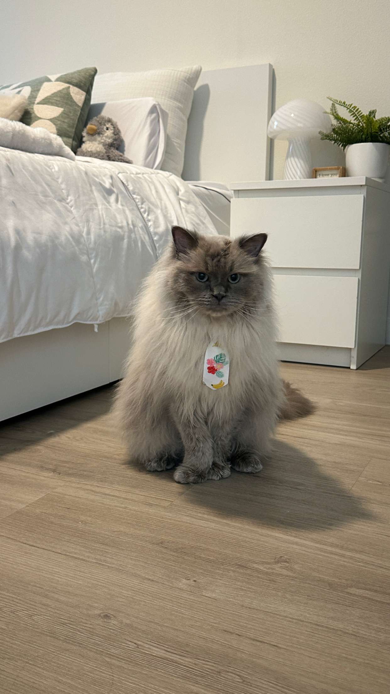 keab01 snapchat image archive image