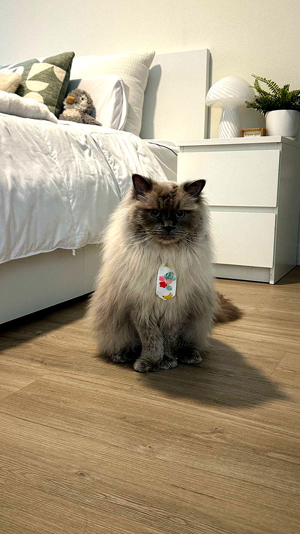 keab01 image ~ Altpins