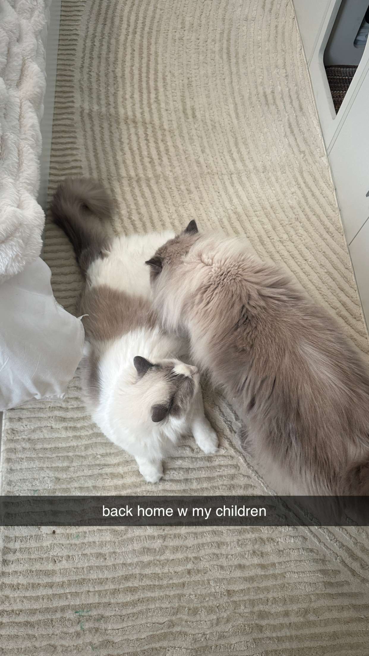 keab01 snapchat image archive image