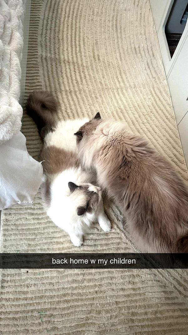 keab01 image ~ Altpins